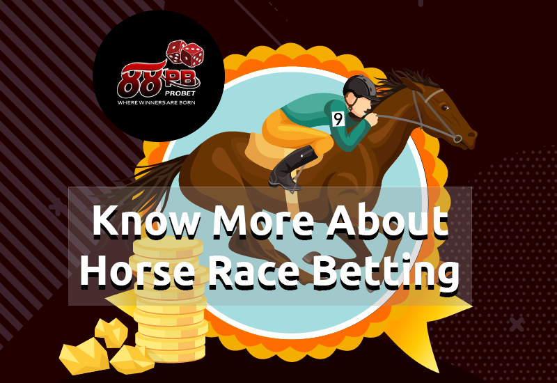 Know-More-About-Horse-Race-Betting-thumbnail