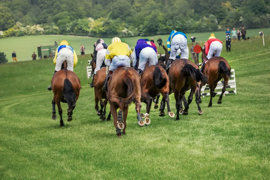A Horse Betting System You Can Try